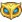 :owl: